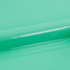 H50120-Sweet Mint