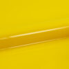 A0003-lemon