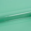 A0068-Mint